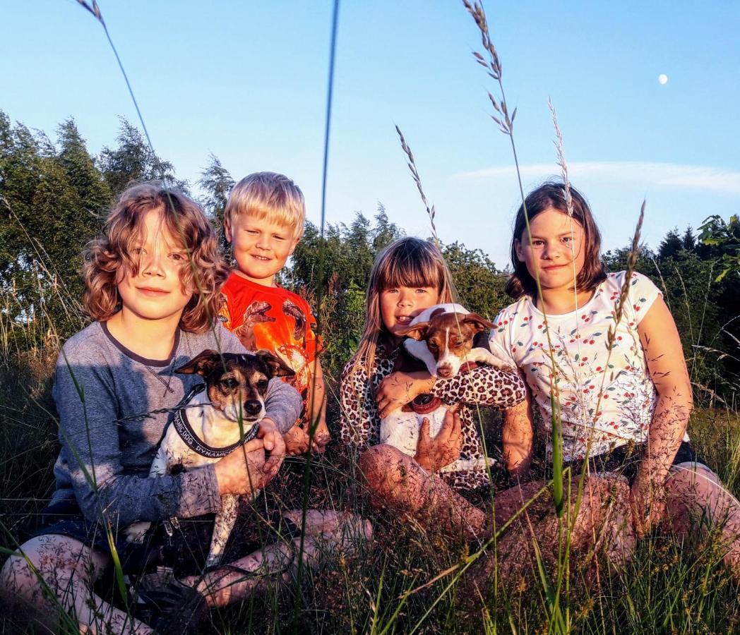 Brosarp Kallagarden Stora Gardslagenheten Exterior foto