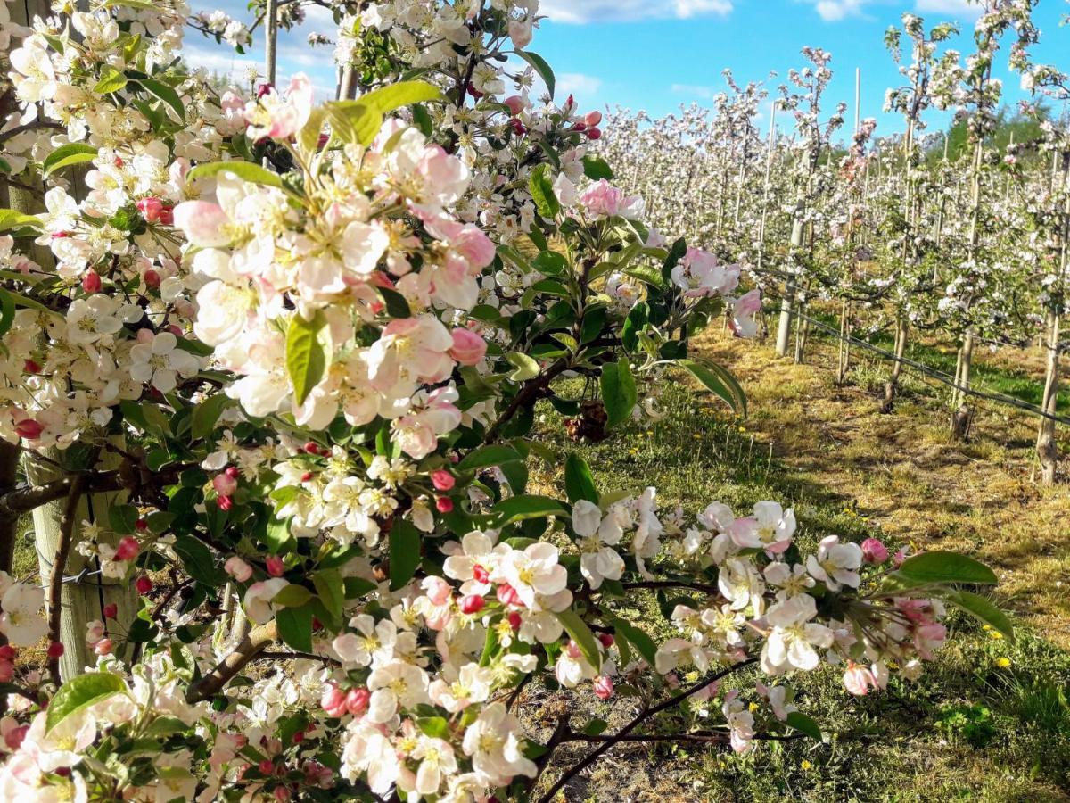 Brosarp Kallagarden Stora Gardslagenheten Exterior foto