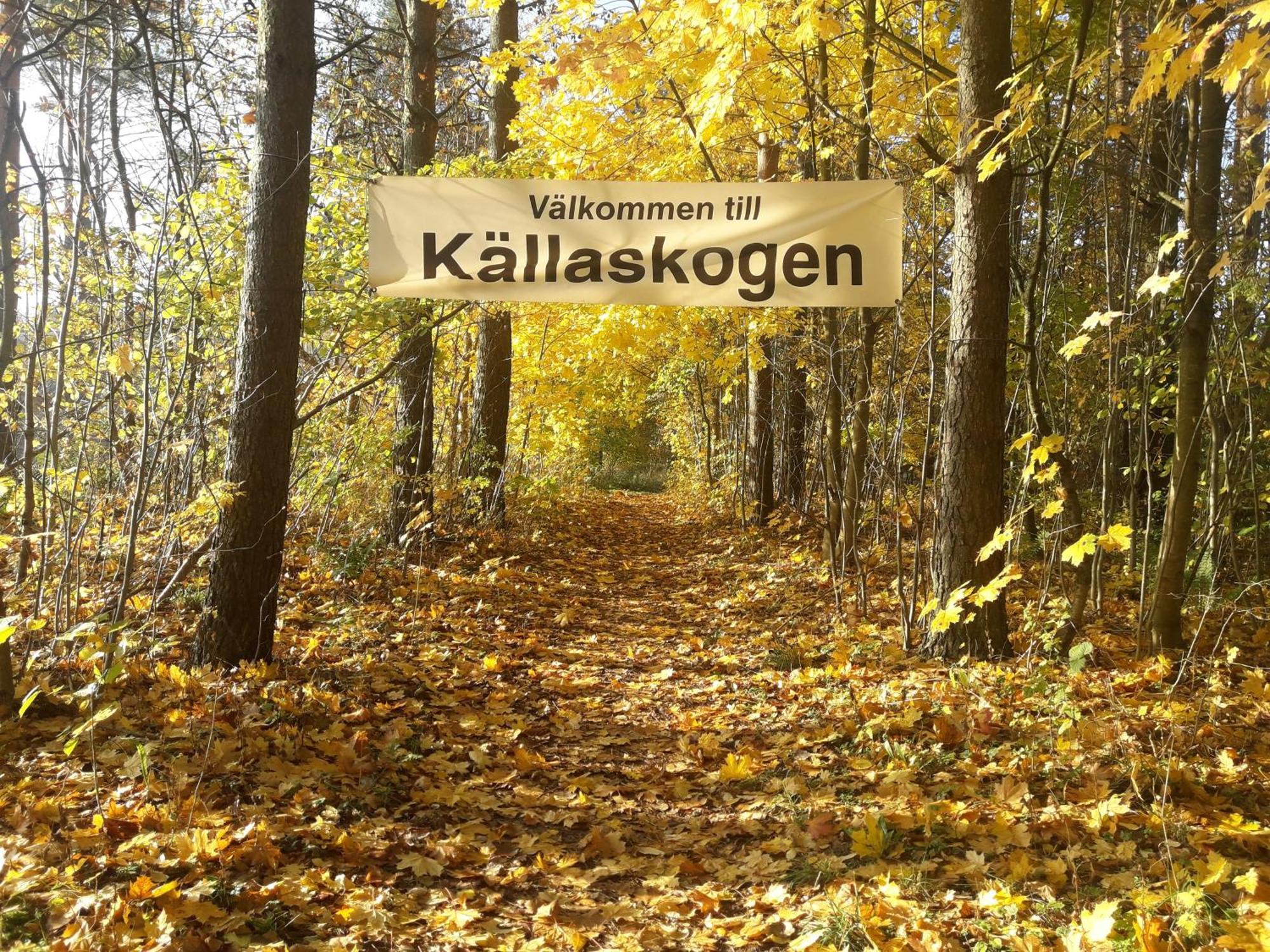 Broesarp Kaellagarden Stora Gardslaegenheten Exterior foto